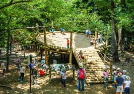 東京平和之森公園 – 野外競技場
