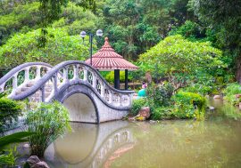 香港沙田公園