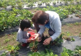帶著孩子一起體驗日本「健康又美味」的農家民宿吧！