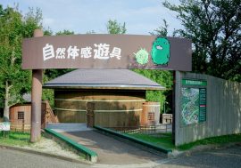 【愛知】名古屋愛・地球博記念公園