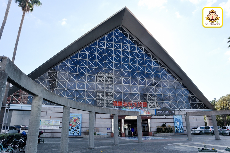 日本景點 須磨海濱水族園深受神戶市民愛戴的老牌水族園 Travelababies 親子旅遊資訊平台