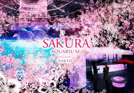 【最新資訊】品川水族館「SAKURA AQUARIUM Directed BY NAKED」 在海中盛開的櫻花投影限定展