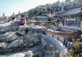 【韓國景點】釜山海東龍宮寺 臨海而立的釜山最美寺廟