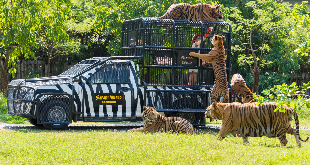 safari world bangkok stroller rental