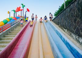 【台灣景點】彩虹毛毛蟲滑梯、超級大草坪，讓孩子與小動物都能盡情放電的桃園最大運動公園