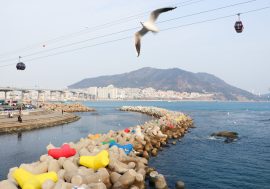 【童遊同趣】釜山親子遊景點必備清單 無敵海景、大啖美食、百貨購物，還可以與小動物零距離互動！