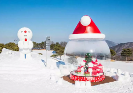 【童遊產品】韓國冬季限定一日遊！冰釣、滑雪、採草莓，帶孩子體驗冰雪世界的萬種風情