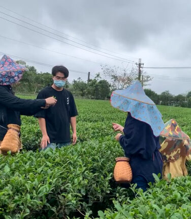 【農莊小小特派員】佳芳有機茶園用全台獨家的綠茶汁，感受有機農業得來不易！