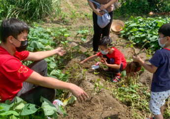 【農莊小小特派員】汪汪地瓜園揭開身世之謎！新北金山徒手挖地瓜，再用最傳統方式品嚐它