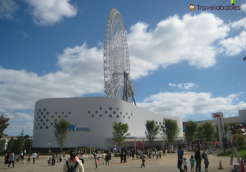 【日本親子景點】活生生的大阪博物館NIFREL！結合水族館、動物園、美術館三大設施